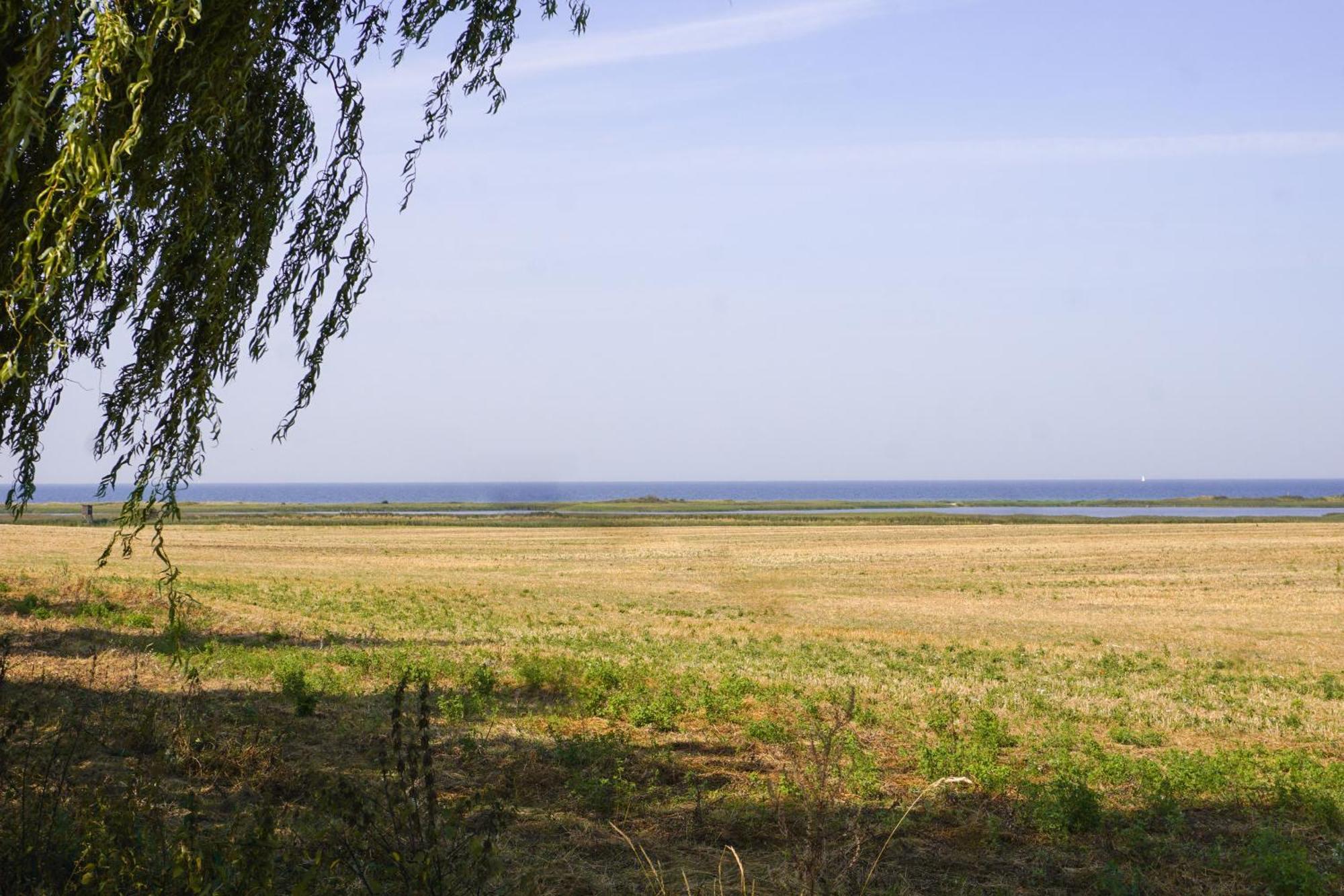 Duenenmeer Ferienwohnung Ostseebad Kühlungsborn 외부 사진